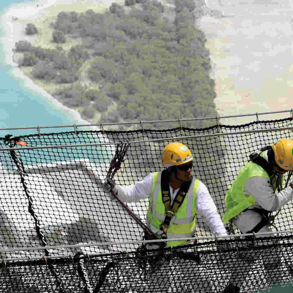 Walk-on netting system