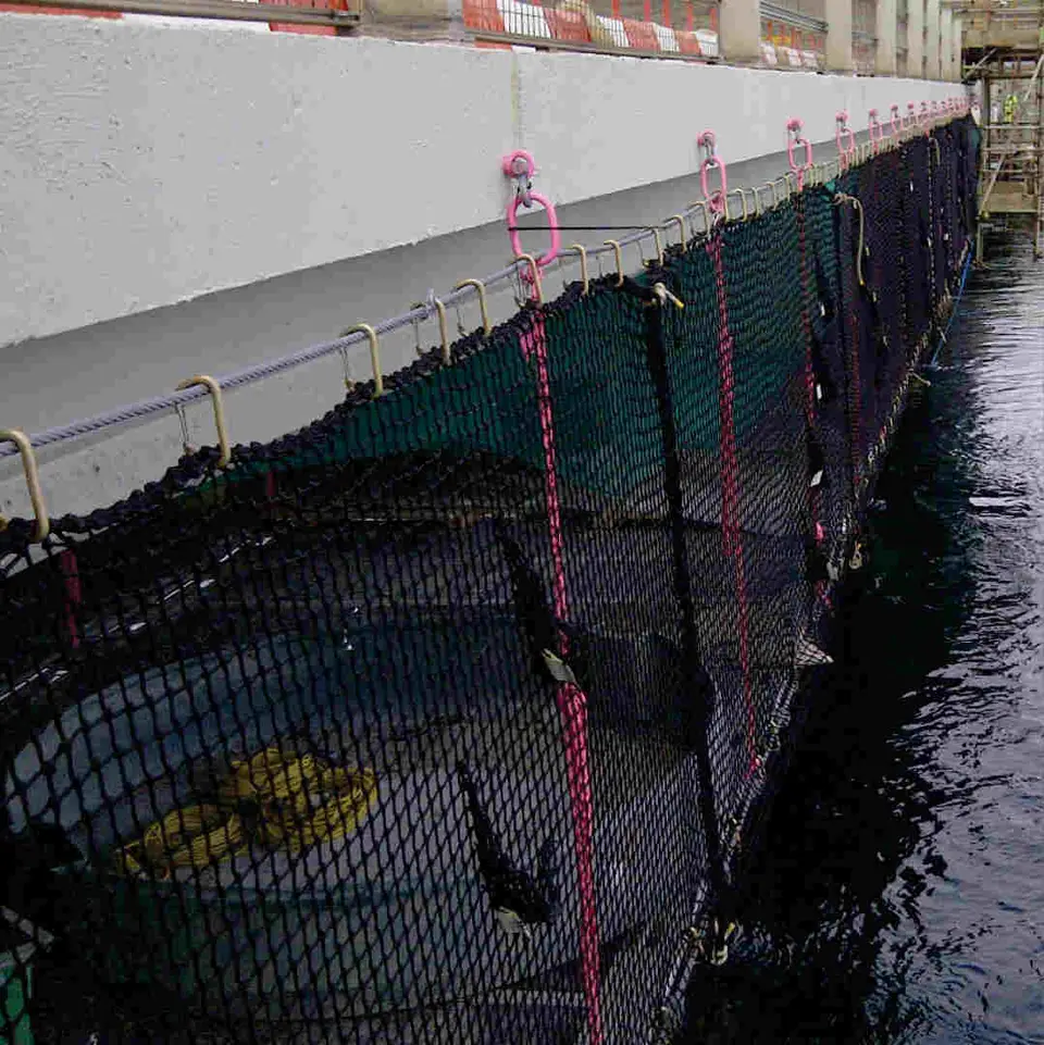 Dropped object protection system